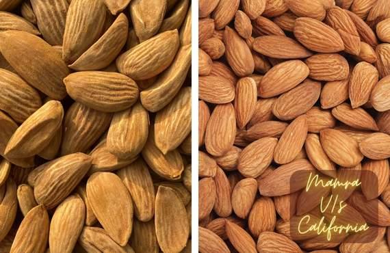 What is Better Mamra or Californian Almonds